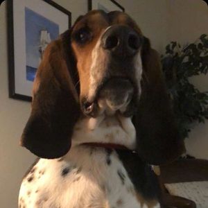 Meet your Posher, Jeff